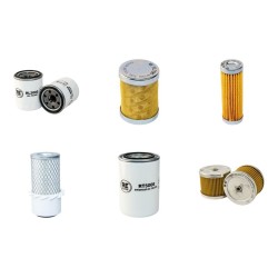 Hanix H15B-2 Service Kit ( Air Filter w/fins )