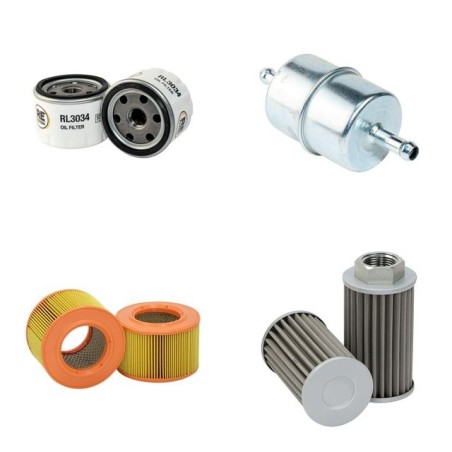 RAMMAX RW 1503 (FK) Filter Service Kit w/FARYMANN 43F Eng.