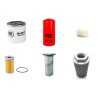 RAMMAX RW 2900 Filter Service Kit w/Kubota 1702 3ZYL. Eng.