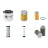 RAMMAX RW 3002 SPT Filter Service Kit w/Yanmar 4TNE84 Eng.