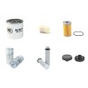 RAMMAX RW 3005 (S/SP/SPT) Filter Service Kit w/Kubota V 2203 Eng.