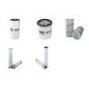 SENNEBOGEN B 613 Filter Service Kit w/Deutz Bf4M1013E Eng.