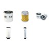 TAKEUCHI TL 230 Filter Service Kit Air Oil Fuel Filters w/Kubota V3307 DI T Eng.