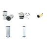 TEREX PS 6 AWS Filter Service Kit Air Oil Fuel Filters w/Perkins 1104C44T Eng.   YR  2005-