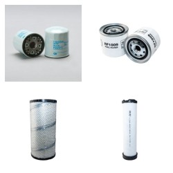 THOMAS 245DHS Filter Service Kit Air Oil Fuel Filters