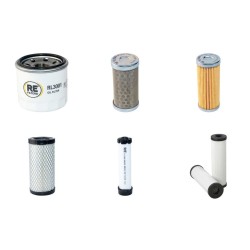 Thwaites Mach 201 Mini Dumper Filter Service Kit 2007-2013
