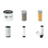 Thwaites Mach 201 Mini Dumper  Filter Service Kit