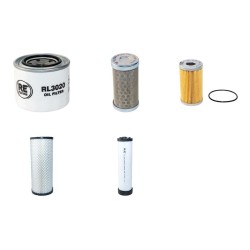 Thwaites Mach 244 Dumper Filter Service Kit - Air, Oil, Fuel