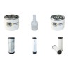 Filter Kit for Thwaites Mach 320 Dumper 
