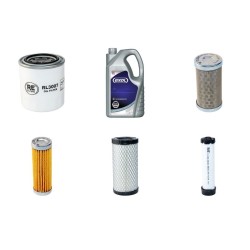 Filter Kit for Volvo ECR25D engine Lubricant Kit with Yanmar D1.1A engine