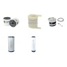 WACKER WL 30 Filter Service Kit Air Oil Fuel Filters w/Perkins 404C22 Eng.
