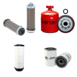 WEBER LS20 Filter Service Kit w/Lombardini 9LD561-2 Eng.