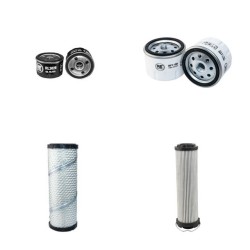 WEBER TRC86 Filter Service Kit w/Lombardini Ldw 1003 Eng.