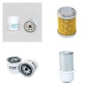 Weidemann 915D, 915P Filter Service Kit