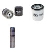 WEIDEMANN 916 D/R Filter Service Kit w/Ruggerini Rd952 Eng.