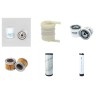 Weidemann 1055 D/P Filter Service Kit - Air, Oil, Fuel Filters