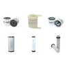 WEIDEMANN 1090 D/P Filter Service Kit w/Perkins Eng.