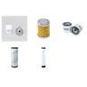 Weidemann 1120 P22  Filter Service Kit - Air, Oil, Fuel Filters