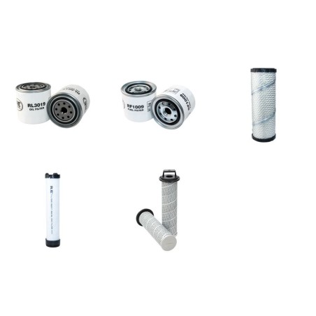 Weidemann 1252 D/P  Filter Service Kit