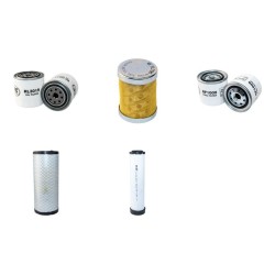 WEIDEMANN 3002D/P Filter Service Kit w/Perkins/Shibaura Eng.