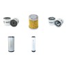 WEIDEMANN 3002 D/P Filter Service Kit w/Perkins/Shibaura Eng. Air, Oil, Fuel Filters