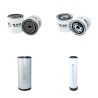 Weidemann 3006 P50  Filter Service Kit - Air, Oil, Fuel Filters