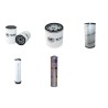Weidemann 4004 D/D  Filter Service Kit - Air, Oil, Fuel Filters