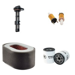 AGRIA 5900 Taifun Filter Service Kit w/Yanmar L100AE Eng.