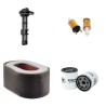 AGRIA 5900 Taifun Filter Service Kit w/Yanmar L100AE Eng.