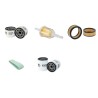 AGRIA 5900 TAIFUN Filter Service Kit w/Briggs & Stratton  Eng.   YR  2006-
