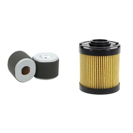 Avant 313 - 313S Filter Kit includes Air & Hydraulic Filter