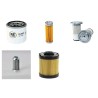 AVANT 520+  Filter Service Kit w/Kubota Eng. SN   24865-25933 YR  6.01-8.02