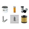 AVANT 520+  Filter Service Kit w/Kubota Eng. SN   25935-44575 YR  8.02-10.04
