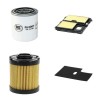 AVANT PROFI 20hp/PS POWERCAT Filter Service Kit withHonda Gx 620 Eng