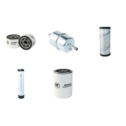 BARETTO 30SG 31HP Baumstumpfrse Filter Service Kit