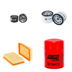BCS 205 Filter Service Kit w/Lombardini LDW 1003 FOCS Eng.   YR  1.02-
