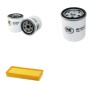 BCS VIVID 400 Filter Service Kit withLombardini Ldw1404Focs Eng 0100-
