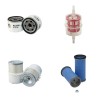 CAT CB 114 Filter Service Kit Air Oil Fuel Filters w/HATZ 2G40H Eng.