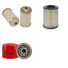 CUB CADET 154 LO-BOY Filter Service Kit