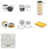 DAVID BROWN 1294 Filter Service Kit