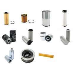DEUTZ AGROTRON 130 Filter Service Kit w/Deutz BF 6M2012C Eng.   YR  6.05-