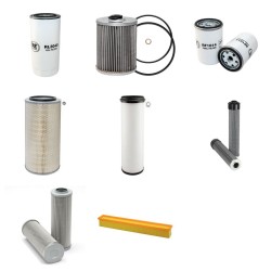 DEUTZ AGROTRON 265 Filter Service Kit w/Deutz BF 6M1013FC Eng.   YR  6.05-