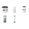 FARESIN FA 2500-06A Filter Service Kit Air Oil Fuel Filters w/Yanmar 4TNV98ZNFA Eng.