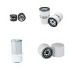 FERRARI AGRI VIPAR 30 Filter Service Kit w/Lombardini Eng.