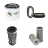 FERRARI GIANNI PG 200 Filter Service Kit w/Yanmar 2 TNV78TA Eng.