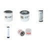 GIANNI FERRARI PG 280 D/DW Filter Service Kit w/Kubota D 1105 Eng.