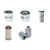 GIANNI FERRARI TURBO 4, 4T Filter Service Kit w/Kubota D 1505 Eng.