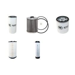 GREGOIRE G135V Filter Service Kit Air Oil Fuel Filters