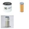 GRILLO FD 1100 (4WD) Filter Service Kit w/Yanmar 3Tnv76 Eng.