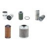 HOLDER C 6000 TURBO Filter Service Kit w/Deutz BF4L1011 Eng.